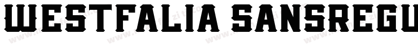 Westfalia SansRegul字体转换